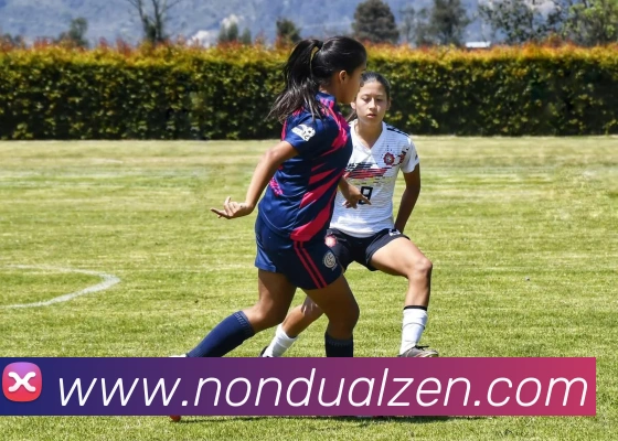 体育赛事